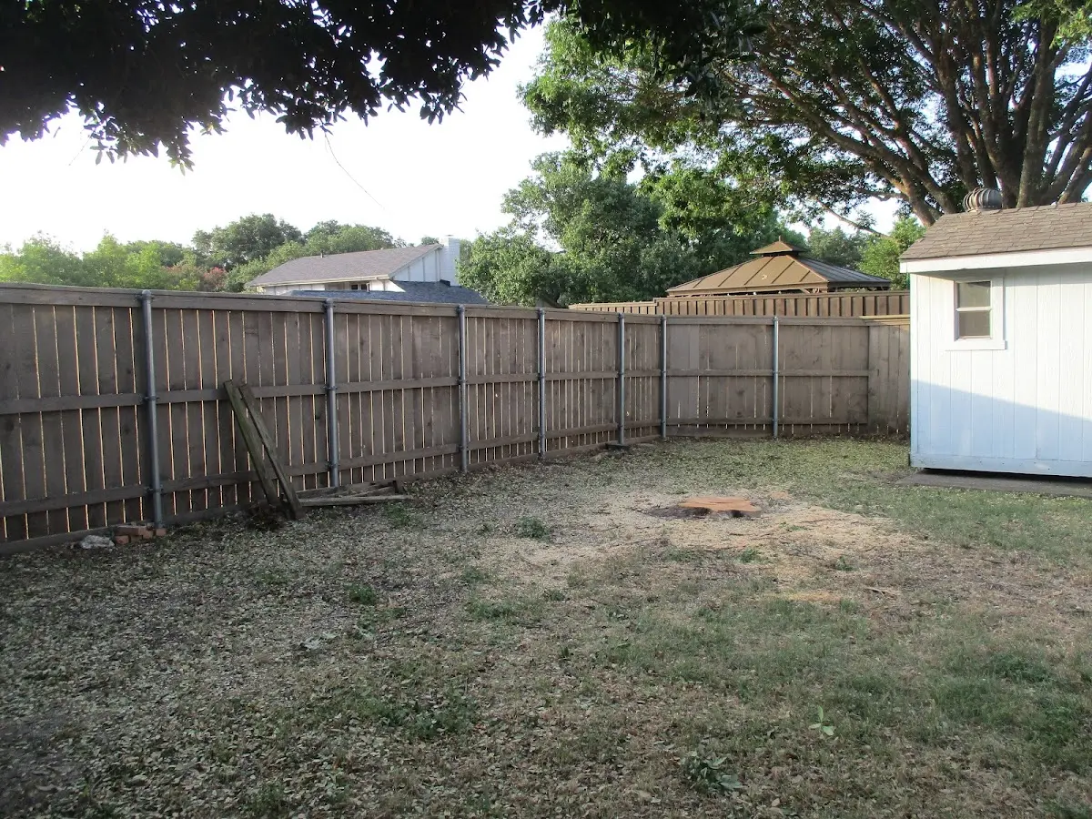 Cleared yard after professional tree removal in Clifton Springs